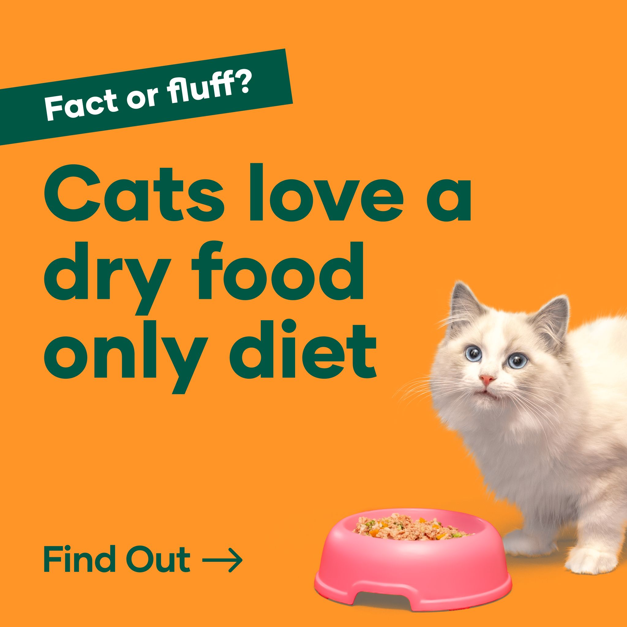 Slow Cooked Chicken for Puppies The Nosh Project